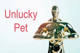 10 Actors You Have The Same Amount Of Oscars As