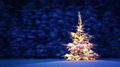 Send A Simple Tweet To Donate To A Very Special Children’s Cause This Christmas