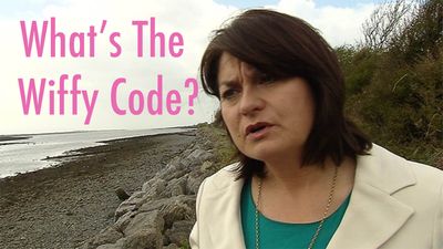 Eight Times We Were Embarrassed To Be Irish In 2015