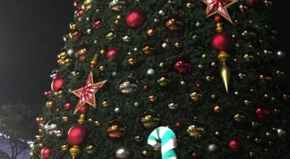 This Proposal Is So Christmassy It Hurts (There’s A Candy-Cane Costume)