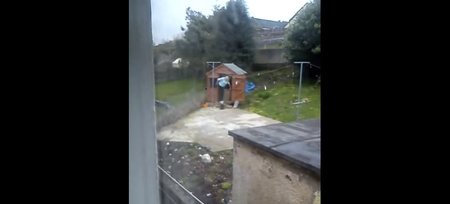 VIDEO: ISPCA Releases Shocking Footage Of Woman Kicking Small Injured Dog
