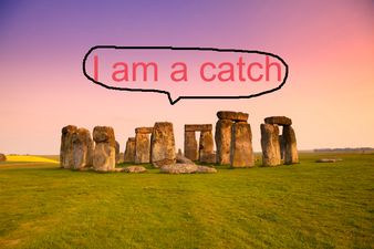 Which Alternative Body Type Are You?