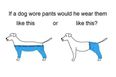 The Last Big Debate of 2015: What Way Would A Dog REALLY Wear Pyjamas?