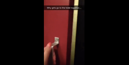 This “Dream” Toilet Spotted By Waterford Lady Could Transform Your Girls’ Night Out