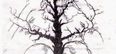 Can You Guess How Many Faces Are Really In This Tree Image?