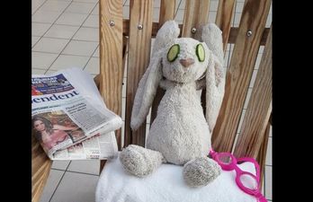 This Teddy That Got Left Behind In Adare Manor House Had The Ultimate Adventure This Weekend