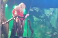 WATCH: Britney Spears Gets Stuck In a Tree During a Performance – Handles It Like A Pro