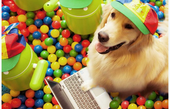 Google UK Hands Over Their Twitter Account To A Dog