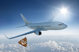 Woman Hurt In India By Poo Which Fell From A Plane