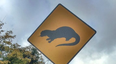 PIC: Ireland’s First ‘Otter Crossing’ Signpost Spotted