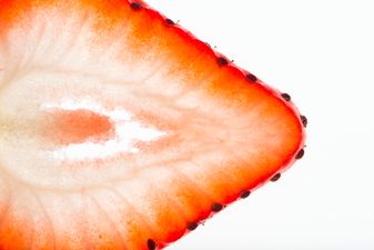 Busted – 10 Common Myths About Your Vagina That Are Completely False