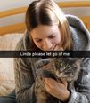 If cats had Snapchat…