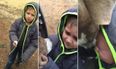 WATCH: Little Boy Bursts Into Tear When Reunited With Lost Dog