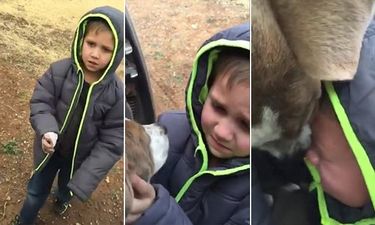 WATCH: Little Boy Bursts Into Tear When Reunited With Lost Dog