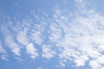 Weather To Turn Milder Towards The End Of The Week