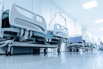 Up to four dead following new outbreak of swine flu in Ireland