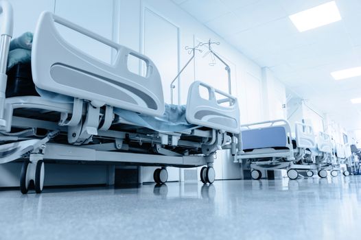 Up to four dead following new outbreak of swine flu in Ireland