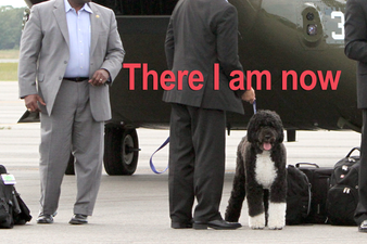 My Life As FDOTUS – Bo Obama’s Diary Entry