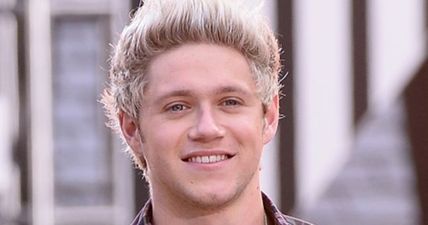 Niall Horan’s Next Career Move Is Pretty Interesting