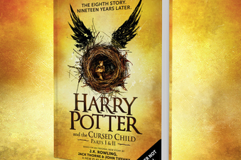 There’s Going To Be An Eighth Harry Potter Book