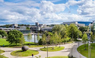 UCD Students Union Release Statement Hitting Out At UCD Management