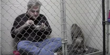 WATCH – This Vet Went The Extra Mile To Make This Rescue Pup Comfortable