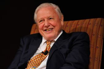 David Attenborough’s reaction to the Brexit vote is really touching