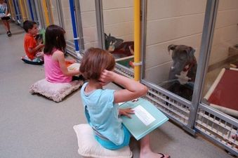 PICS – Kids Reading To Shelter Dogs Is Too Cute