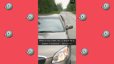 If Pigeons Had Snapchat…