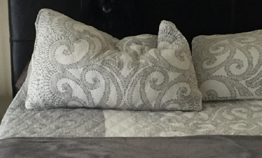 Can You Spot the Dogs Hiding In These Two Snaps?