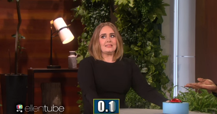 Adele is going to extreme lengths to avoid getting sick on her tour