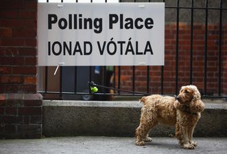 Vice President of Paralympics Ireland Denied Vote as Polling Station was Not Wheelchair Accessible