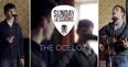 Sunday Sessions // The Ocelots