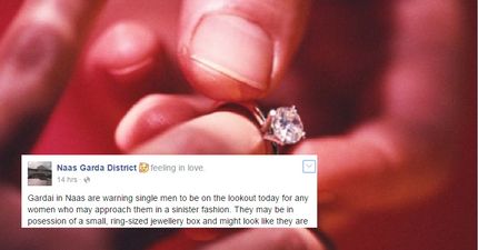 PIC: Naas Garda District Issue Hilarious Warning To Single Men Everywhere Today