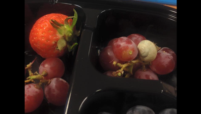 Irish Company Responds to Customer Complaint Brilliantly After Snail Found in Fruit Cup
