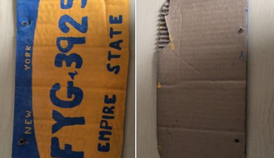 Woman In The States Arrested After Using Fake Cardboard License Plate