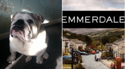 One-Eyed Pup Joins The Emmerdale Cast And He’s Only Gorgeous