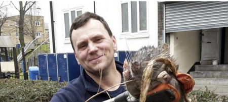 PIC – This Giant Four Foot Rat Found In London Is Beyond Belief