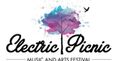 Electric Picnic Is Sold Out And People Are Shocked