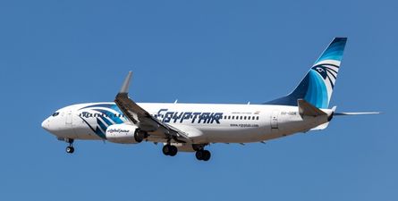 PICS: Shocking Images Show Damage Caused To Airplane After Hitting Birds At Heathrow