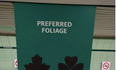 Can You Spot The Major Mistake On This Guinness Canada Paddy’s Day Ad?!