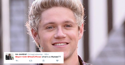 Niall Horan Fans Went Into A Frenzy Over The Word ‘Hunzo’ Earlier