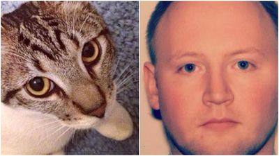 Irish-Born Banker Fired For Horrific Torture Of New York Roommate’s Cat