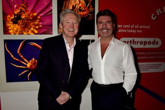 Louis Walsh Is Apparently In Talks To Return To The X-Factor