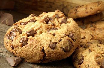 Chocolate Chip Cookies Recalled Over Fears They May Be “Unsafe” For Consumers