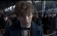 TRAILER – Potter Spinoff ‘Fantastic Beasts And Where To Find Them’ Looks UNREAL