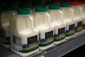 Milking it: This is one way to deal with petty thieves