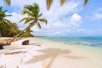 Hawaii are literally begging teachers to come and work in paradise