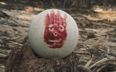 EXCLUSIVE INTERVIEW: Wilson From Cast Away – Where Is He Now?