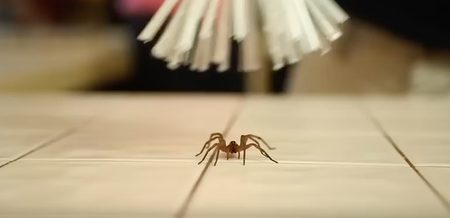 An Irish man has invented a new spider catcher